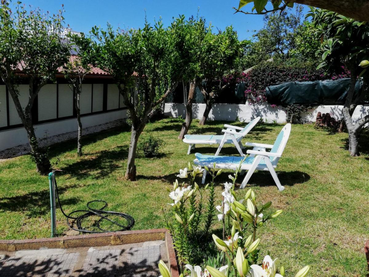 Casa Rural Limon Y Sol Sauzal Exterior photo