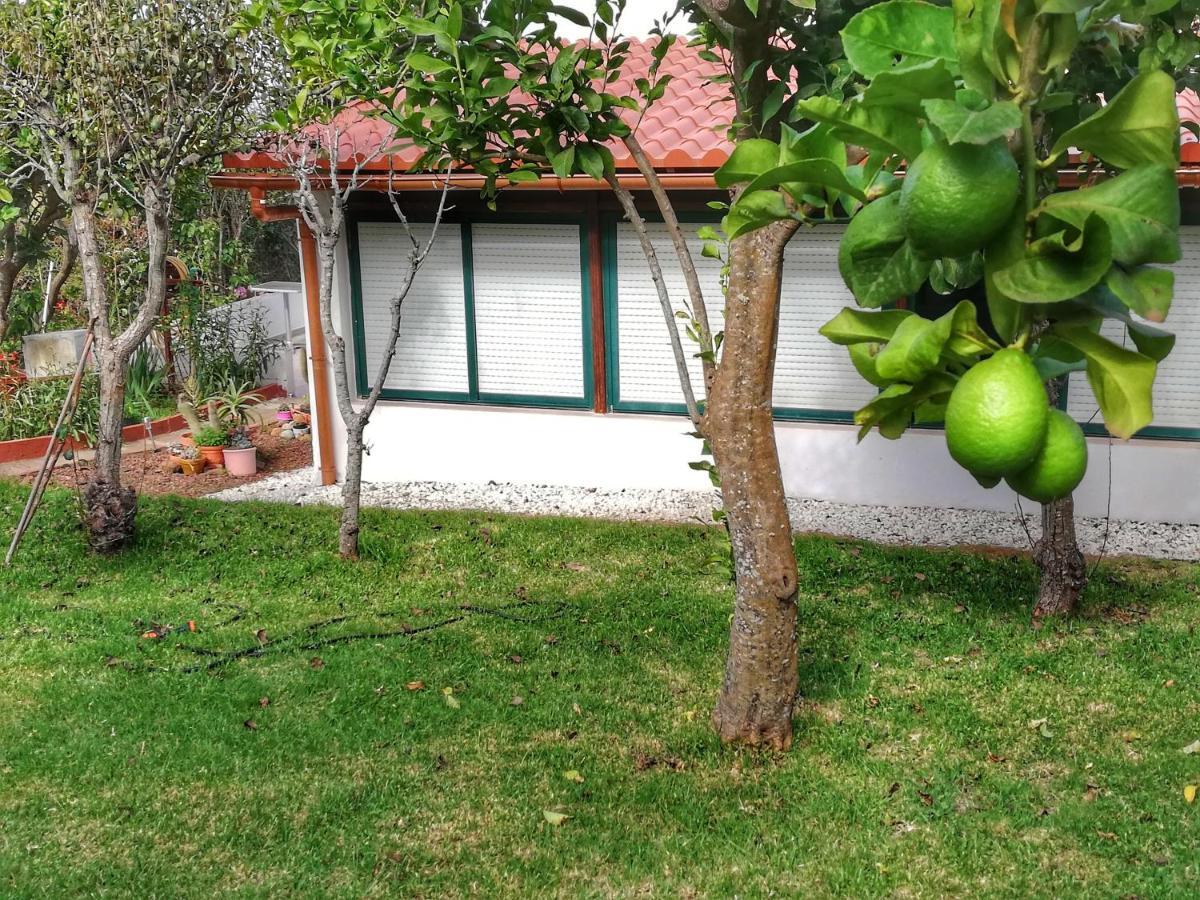 Casa Rural Limon Y Sol Sauzal Exterior photo